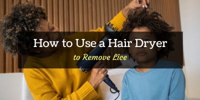 how to use a hair dryer to kill lice